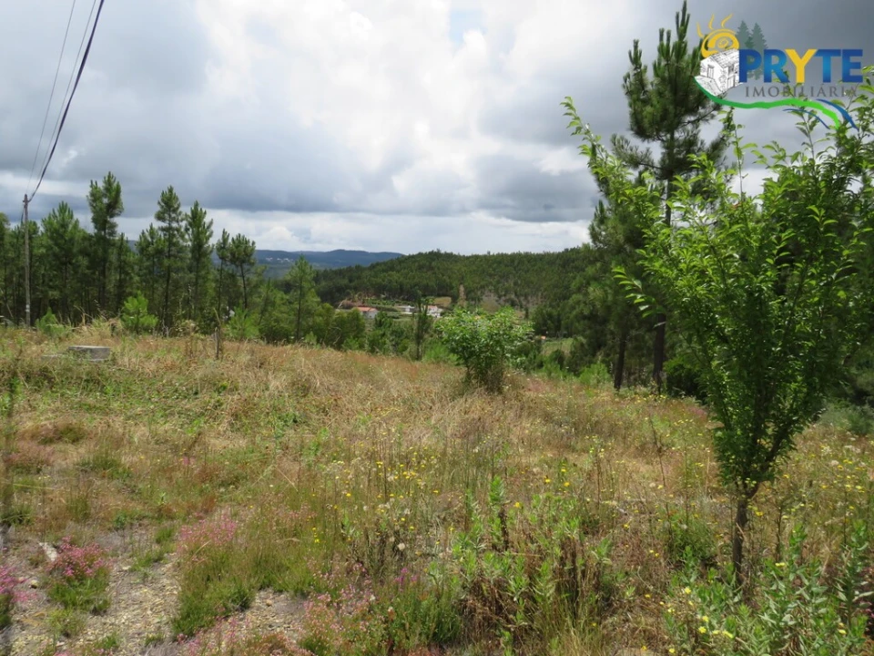 Quinta para Venda em Troviscal Foto 23