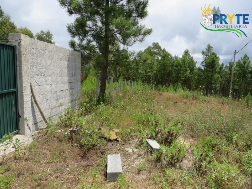 Quinta para Venda em Troviscal Foto 26