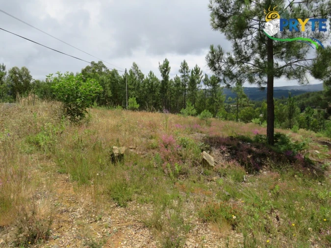 Quinta para Venda em Troviscal Foto 6