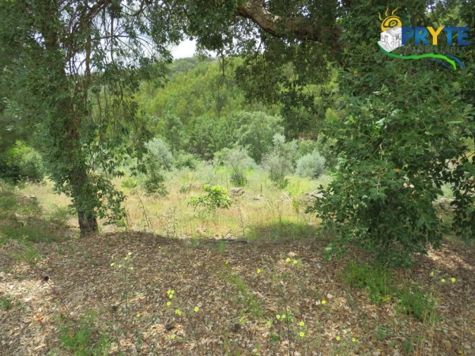 Quinta para Venda em Troviscal Foto 7