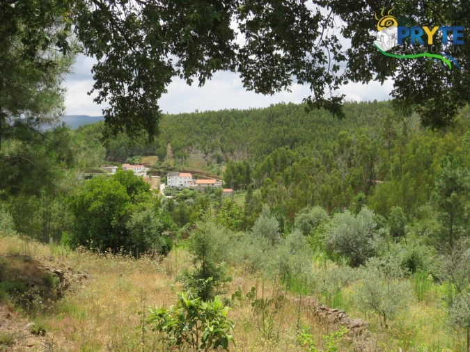 Quinta para Venda em Troviscal Foto 14