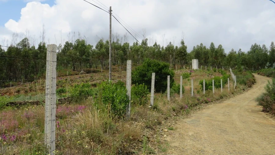 Quinta para Venda em Troviscal