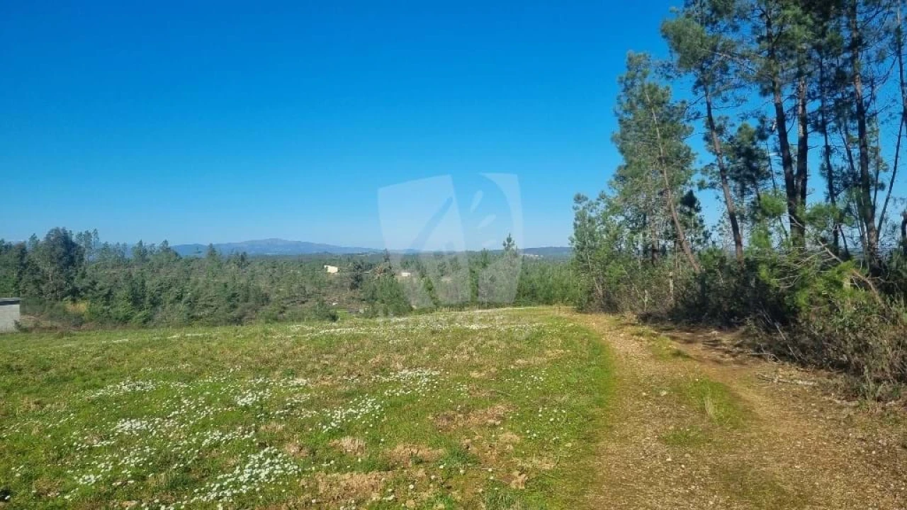 Terreno Agricola ou Rústico para Venda em Sarzedas Foto 13