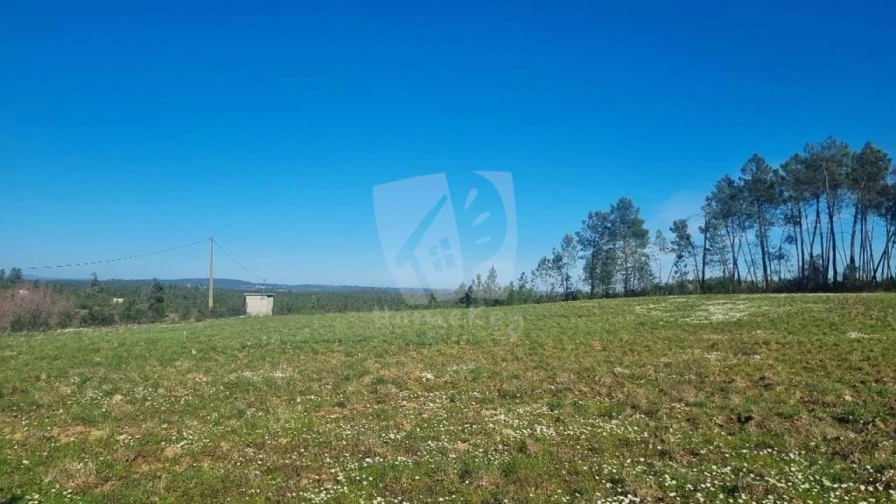 Terreno Agricola ou Rústico para Venda em Sarzedas Foto 10