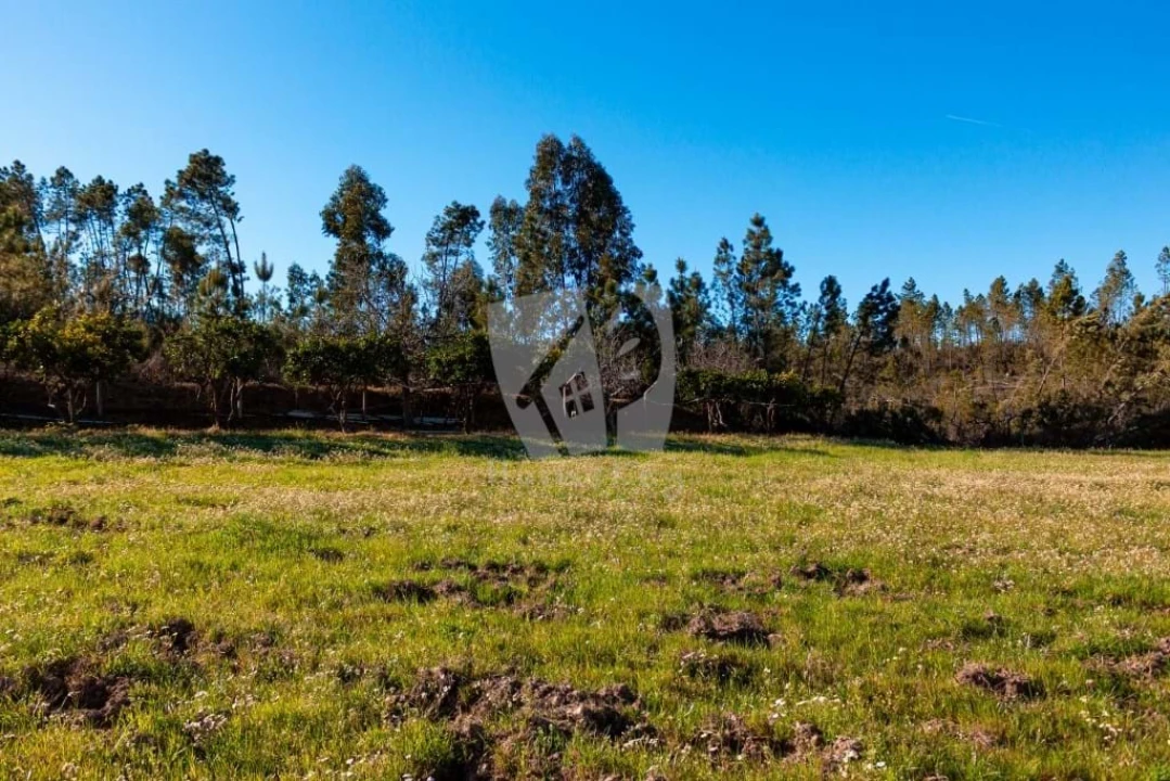 Terreno Agricola ou Rústico para Venda em Sarzedas Foto 22
