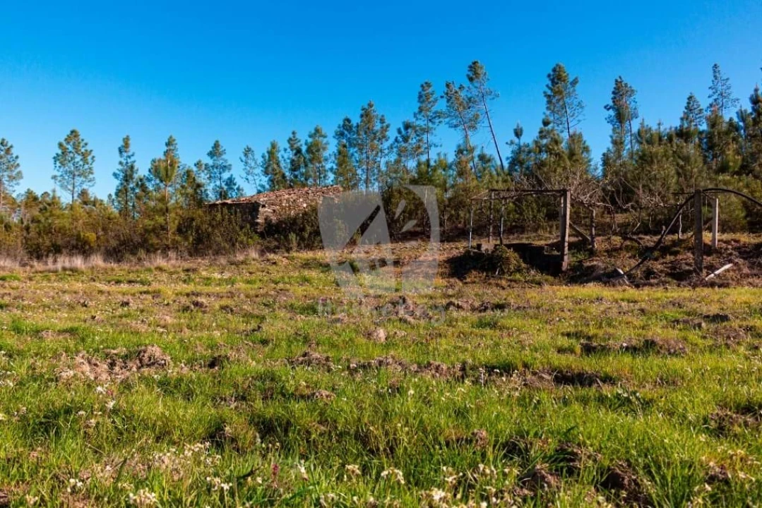 Terreno Agricola ou Rústico para Venda em Sarzedas Foto 18
