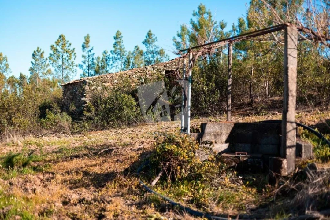 Terreno Agricola ou Rústico para Venda em Sarzedas Foto 7