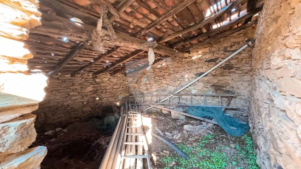 Terreno Agricola ou Rústico para Venda em Sarzedas Foto 6