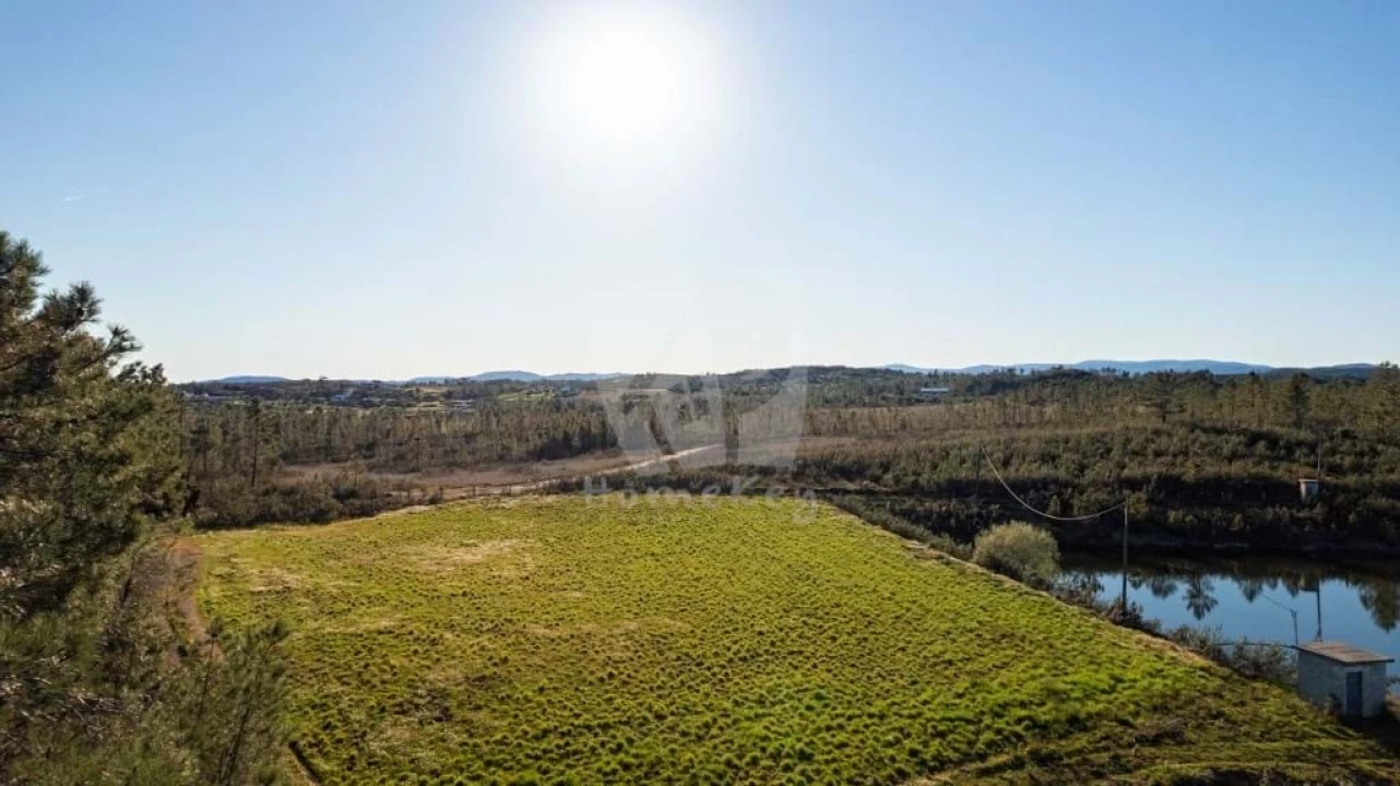 Terreno Agricola ou Rústico para Venda em Sarzedas Foto 2
