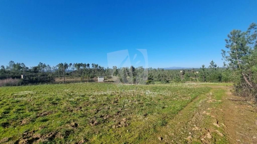 Terreno Agricola ou Rústico para Venda em Sarzedas Foto 16