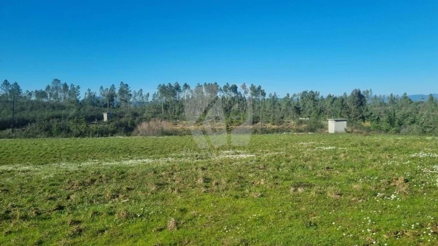 Terreno Agricola ou Rústico para Venda em Sarzedas Foto 12