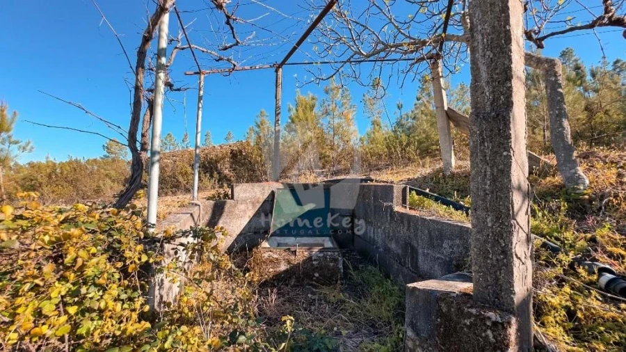 Terreno Agricola ou Rústico para Venda em Sarzedas Foto 8
