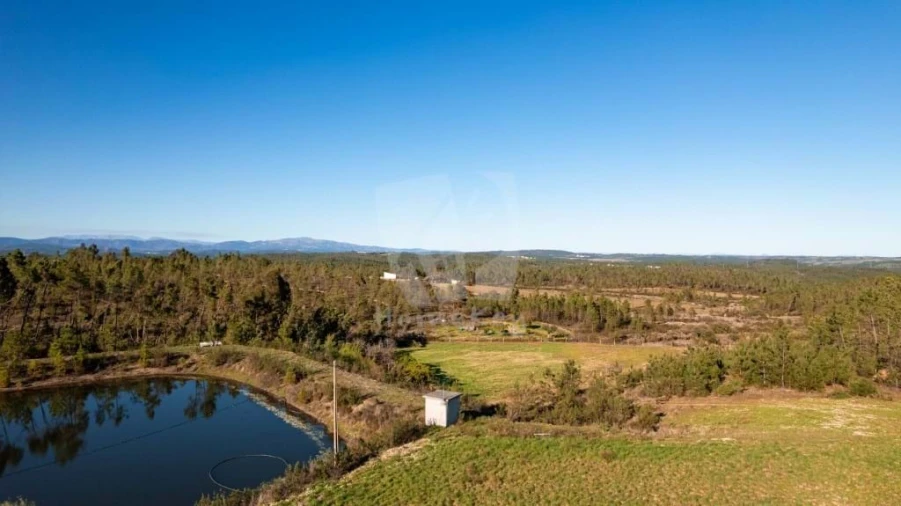 Terreno Agricola ou Rústico para Venda em Sarzedas Foto 24