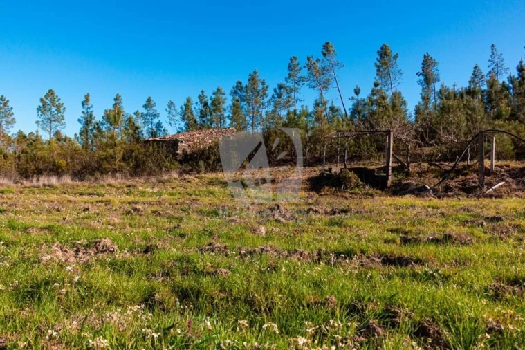 Terreno Agricola ou Rústico para Venda em Sarzedas Foto 18