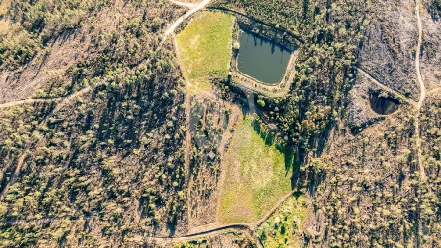Terreno Agricola ou Rústico para Venda em Sarzedas Foto 3
