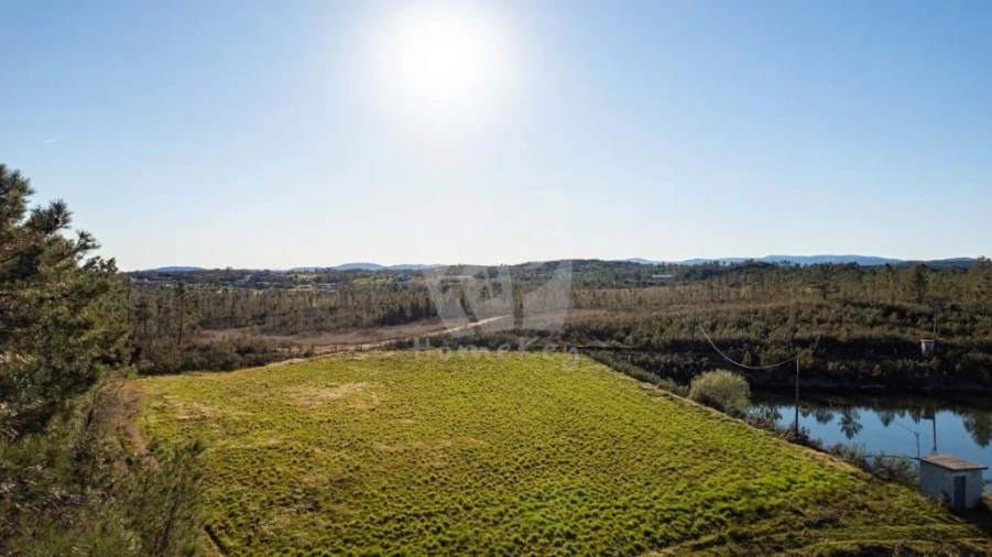 Terreno Agricola ou Rústico para Venda em Sarzedas Foto 2