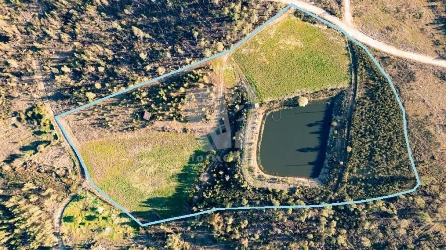 Terreno Agricola ou Rústico para Venda em Sarzedas Foto 26