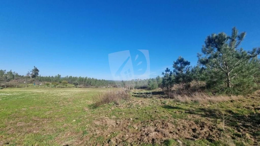 Terreno Agricola ou Rústico para Venda em Sarzedas Foto 14
