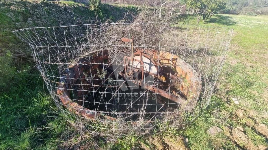 Terreno Agricola ou Rústico para Venda em Sarzedas Foto 9