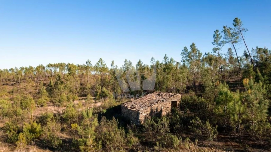Terreno Agricola ou Rústico para Venda em Sarzedas Foto 5