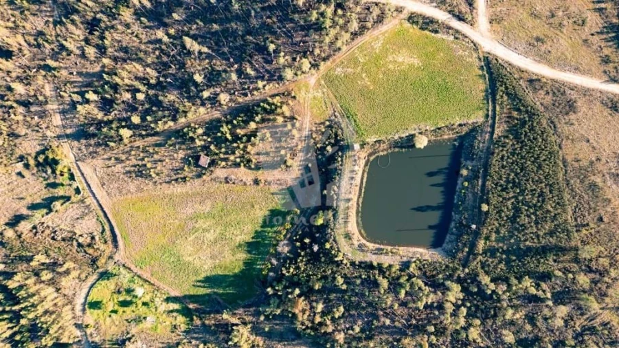 Terreno Agricola ou Rústico para Venda em Sarzedas Foto 4