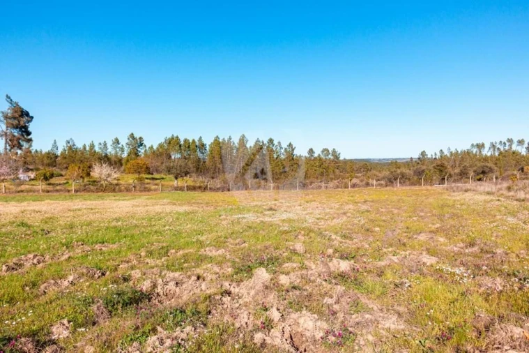 Terreno Agricola ou Rústico para Venda em Sarzedas Foto 21