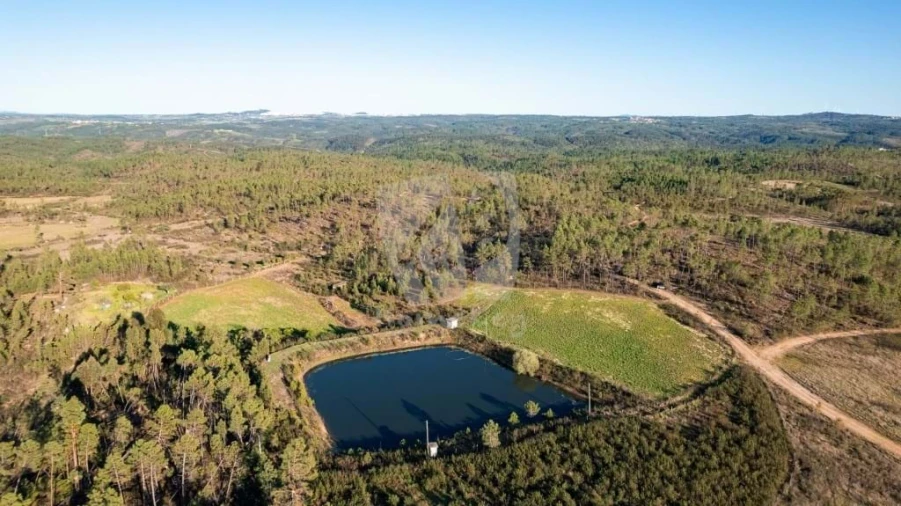 Terreno Agricola ou Rústico para Venda em Sarzedas Foto 1