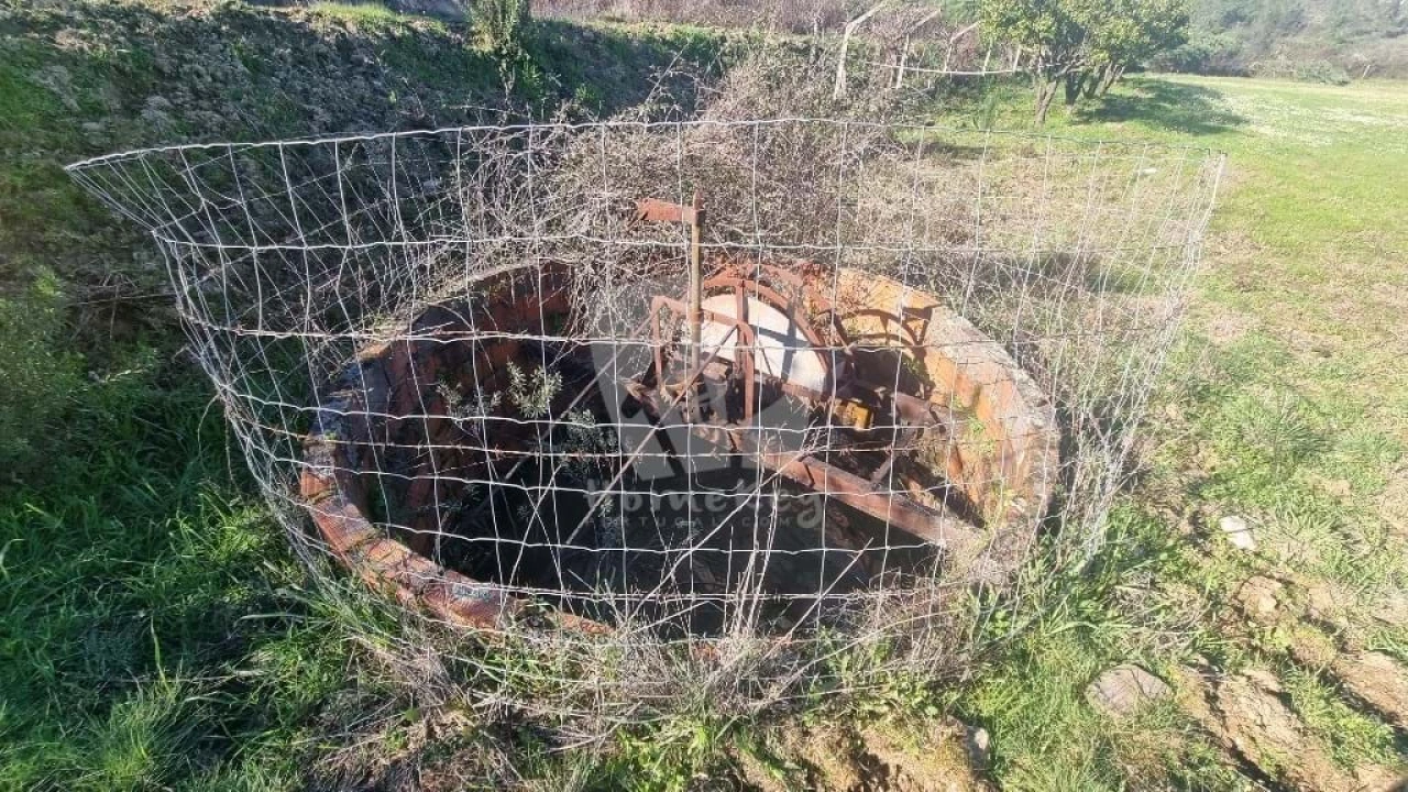 Terreno Agricola ou Rústico para Venda em Sarzedas Foto 9