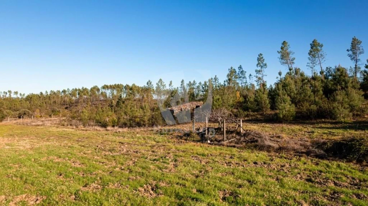 Terreno Agricola ou Rústico para Venda em Sarzedas Foto 20