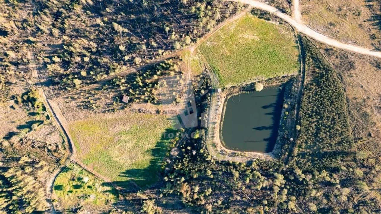 Terreno Agricola ou Rústico para Venda em Sarzedas Foto 4