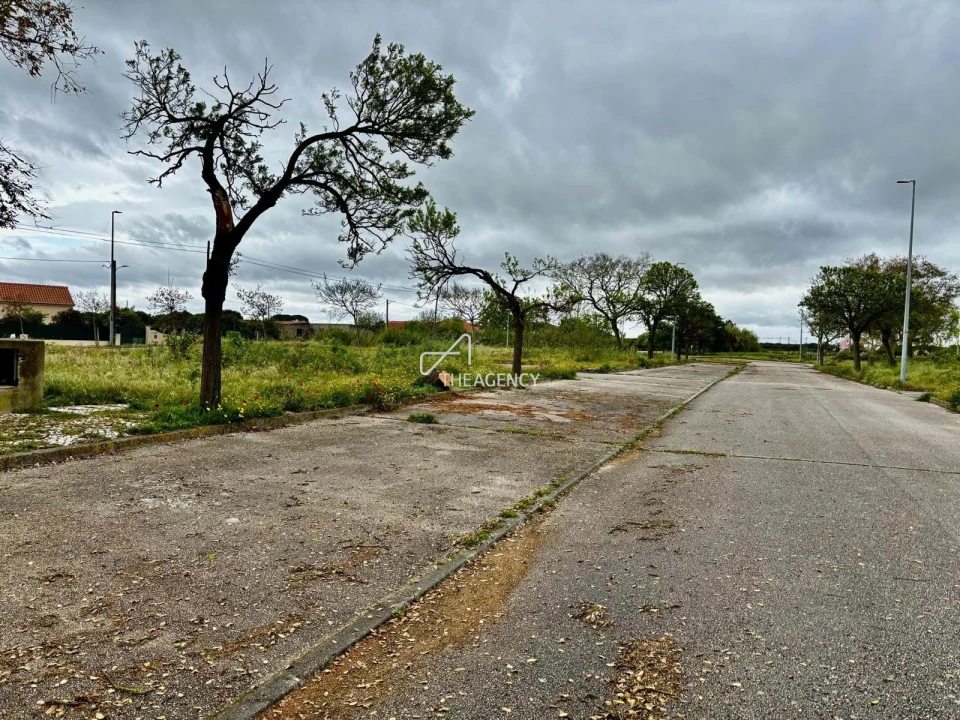 Terreno para Venda em Benavente Foto 12