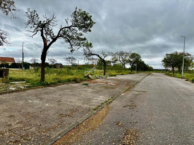 Terreno para Venda em Benavente Foto 12