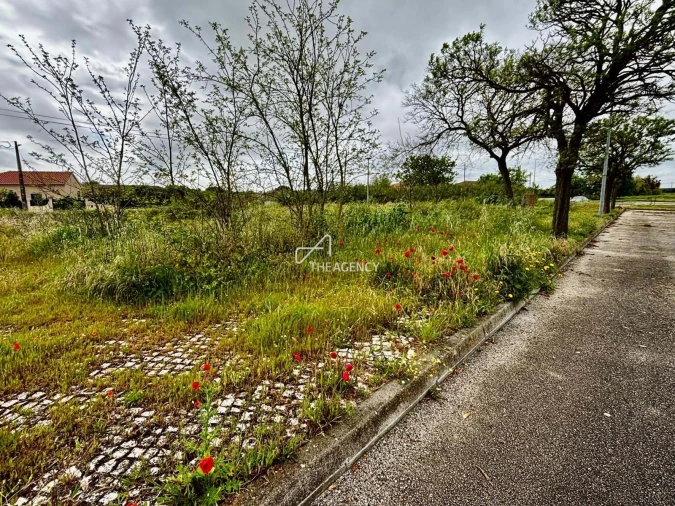 Terreno para Venda em Benavente Foto 10