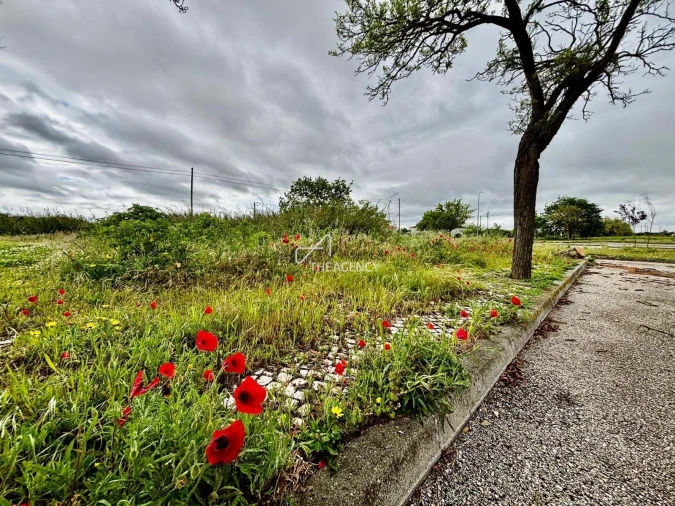 Terreno para Venda em Benavente Foto 4