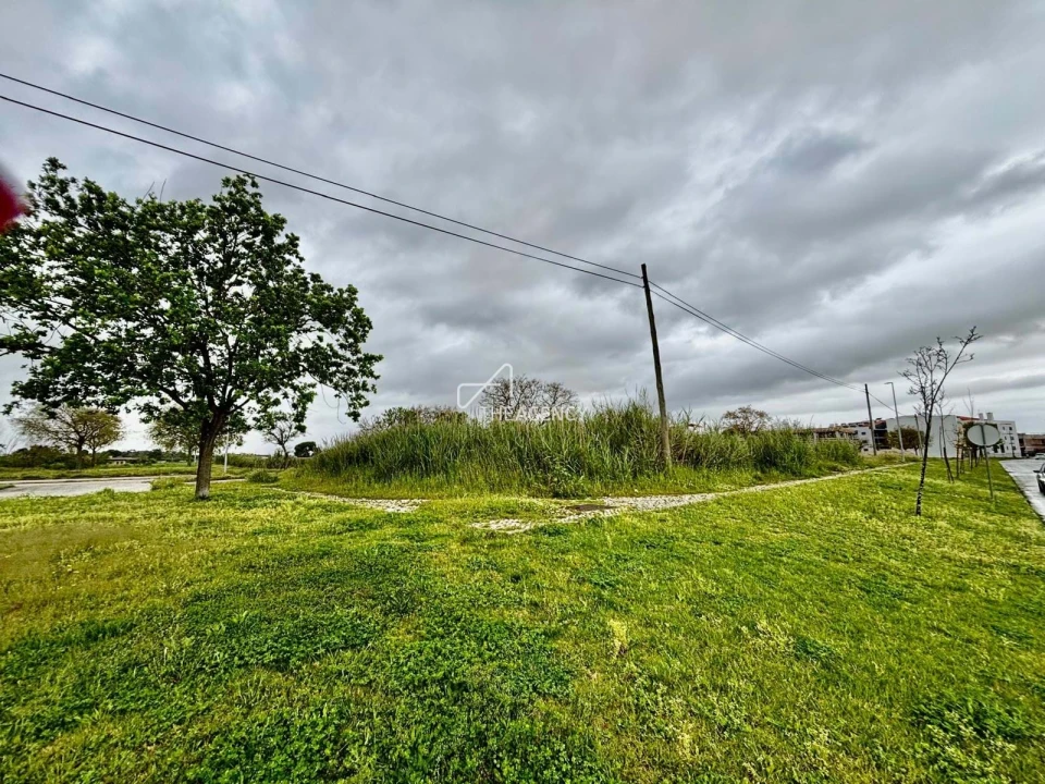 Terreno para Venda em Benavente Foto 5