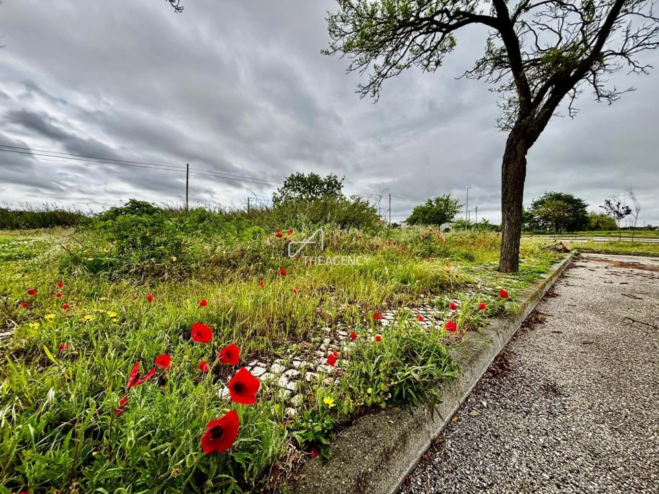Terreno para Venda em Benavente Foto 4