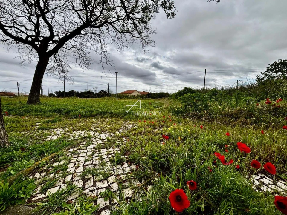 Terreno para Venda em Benavente Foto 7