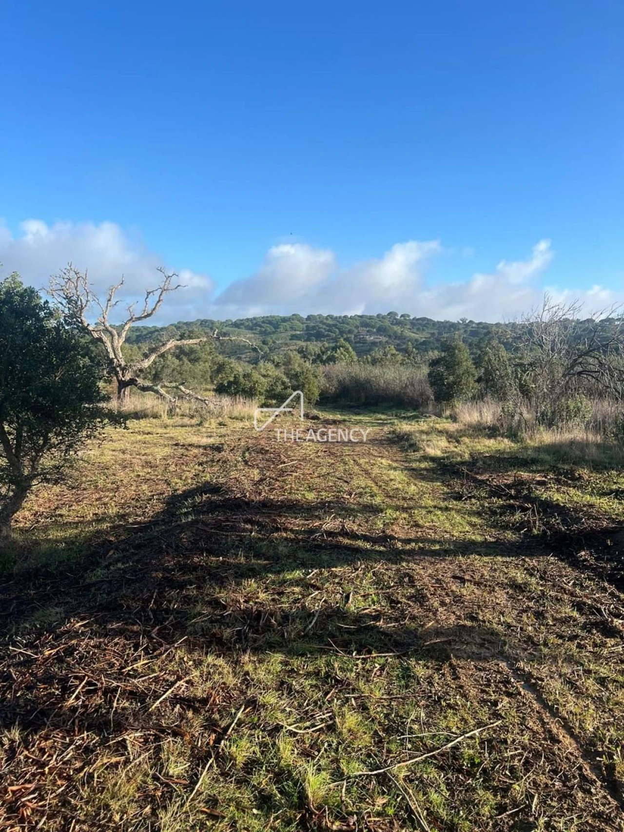 Terreno para Venda em Melides Foto 14
