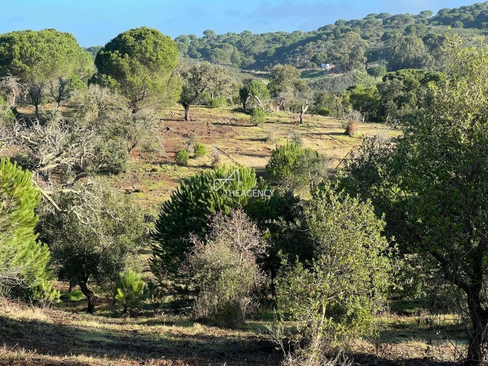 Terreno para Venda em Melides Foto 16