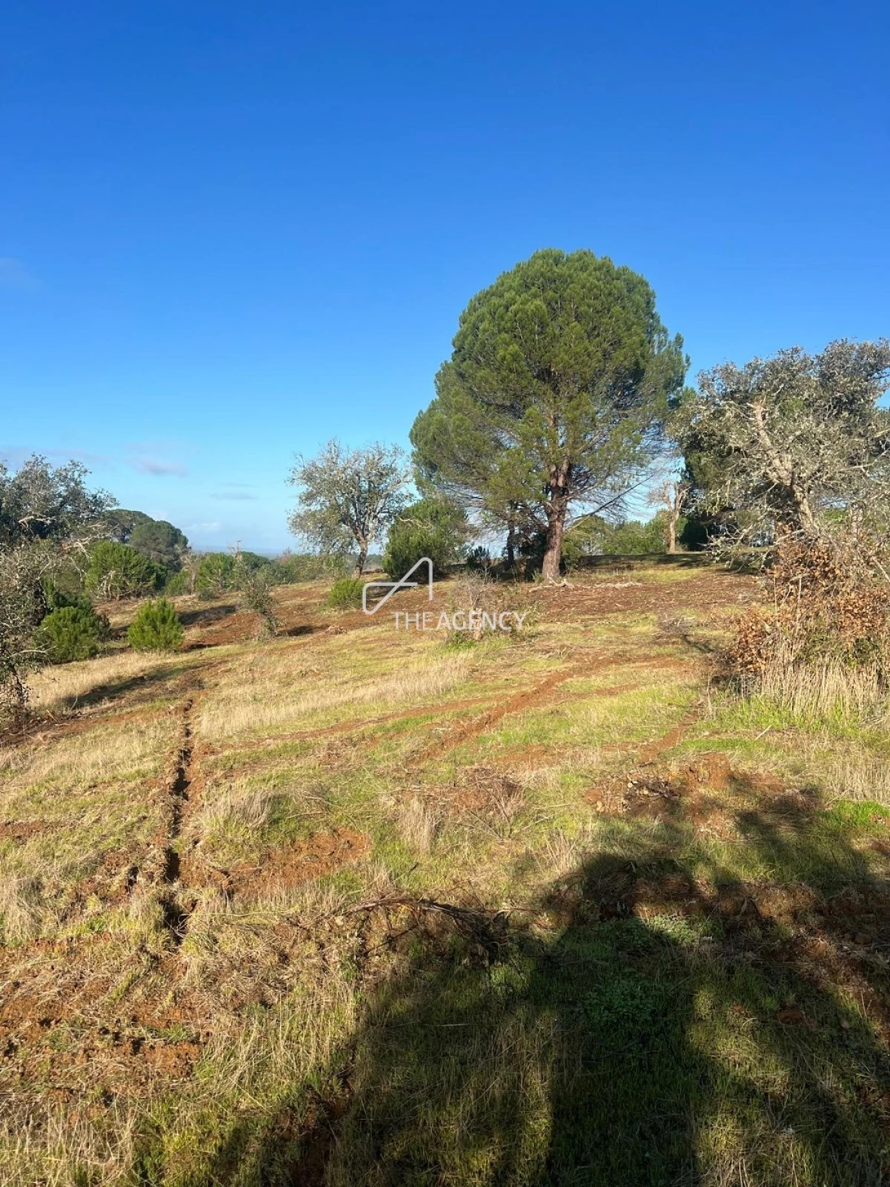 Terreno para Venda em Melides Foto 19