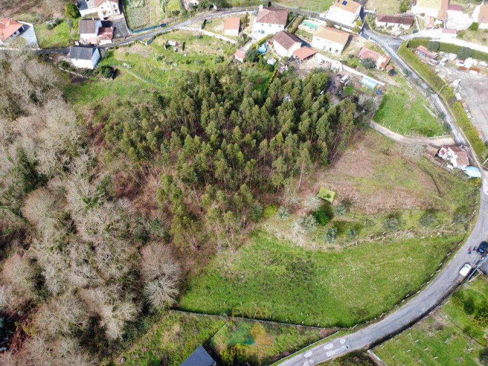 Terreno para Venda em Couto Foto 19