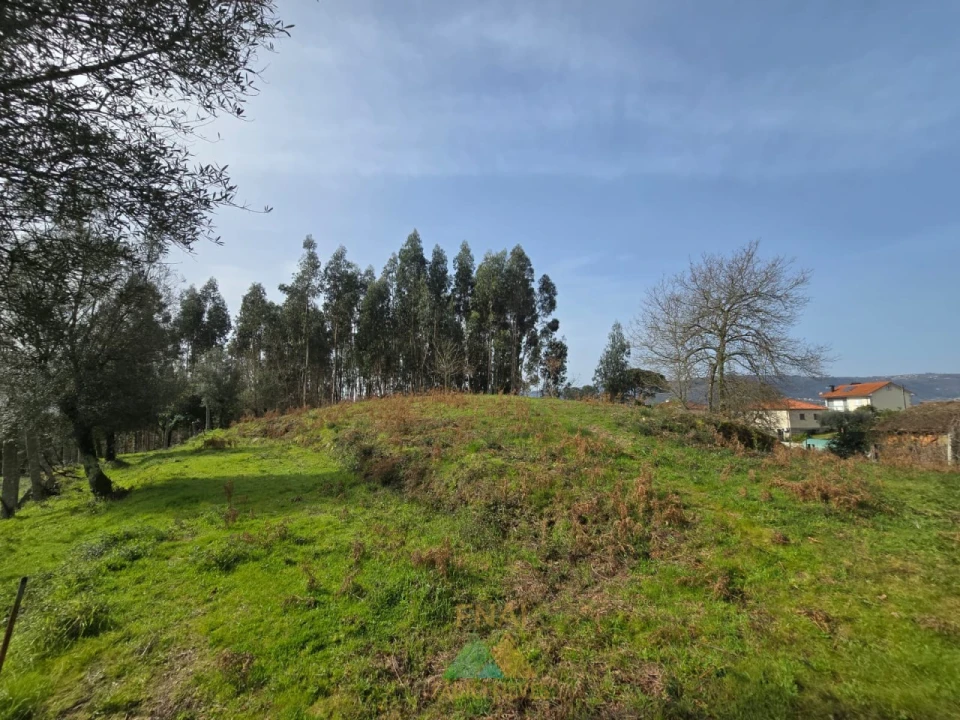 Terreno para Venda em Couto Foto 8