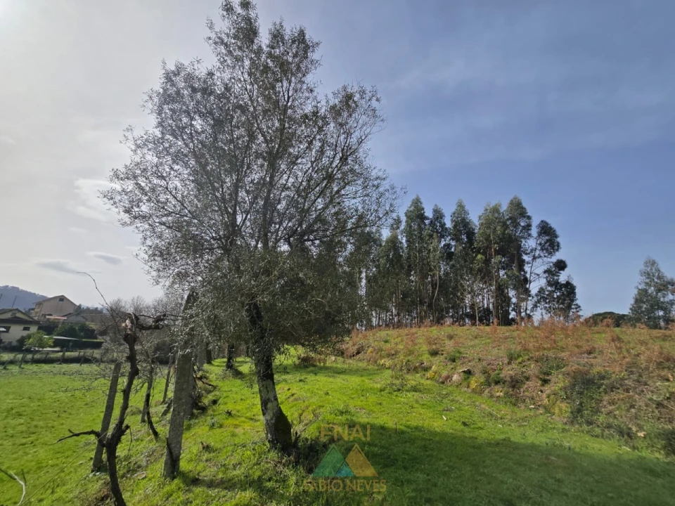 Terreno para Venda em Couto Foto 10