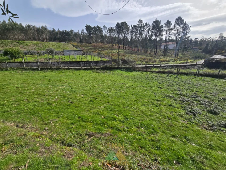 Terreno para Venda em Couto Foto 7