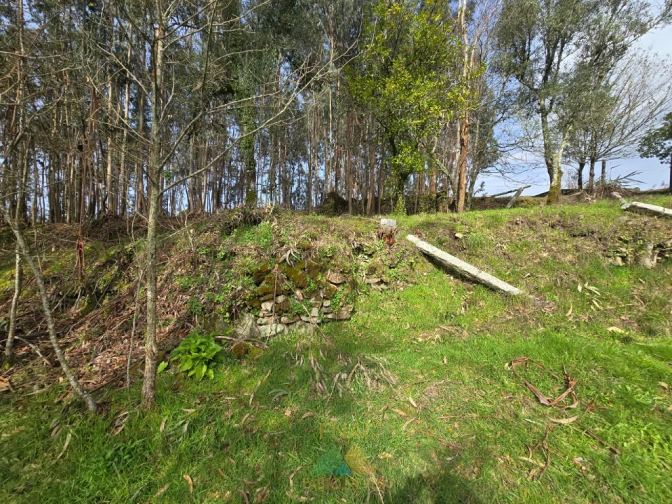 Terreno para Venda em Couto Foto 9