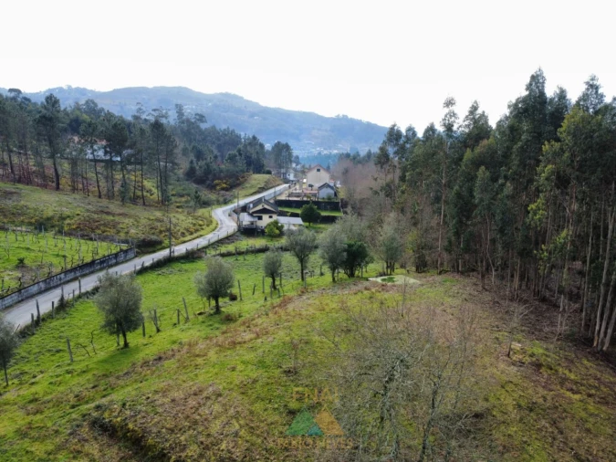 Terreno para Venda em Couto Foto 4