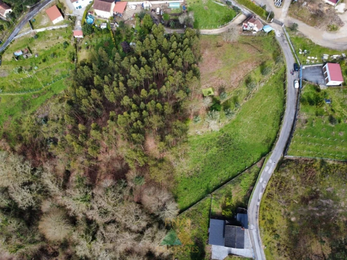 Terreno para Venda em Couto Foto 18