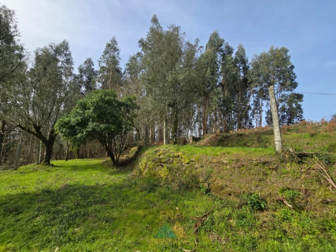 Terreno para Venda em Couto Foto 11