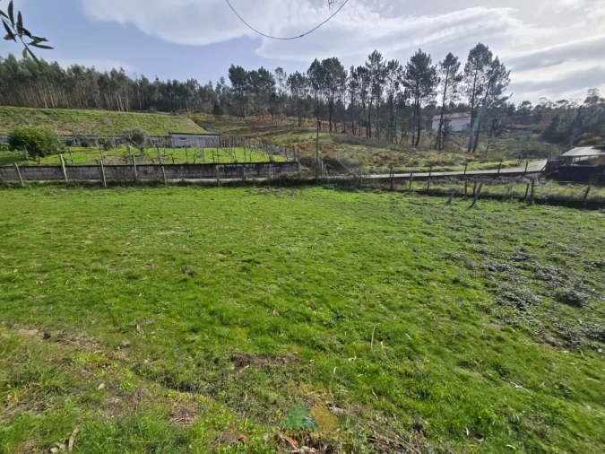 Terreno para Venda em Couto Foto 7