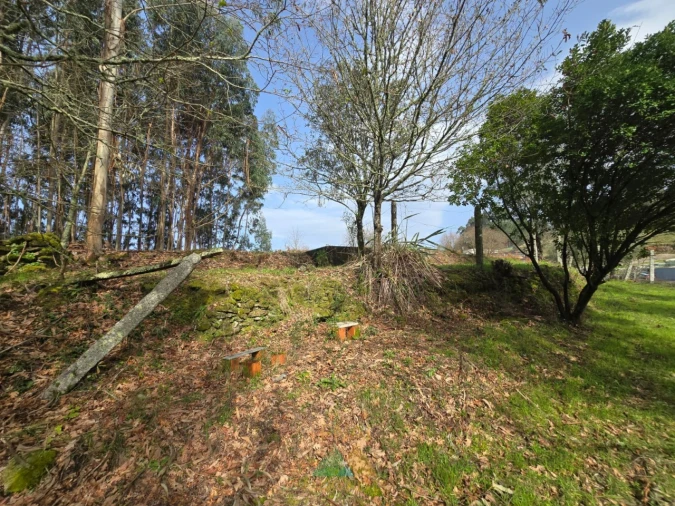 Terreno para Venda em Couto Foto 13